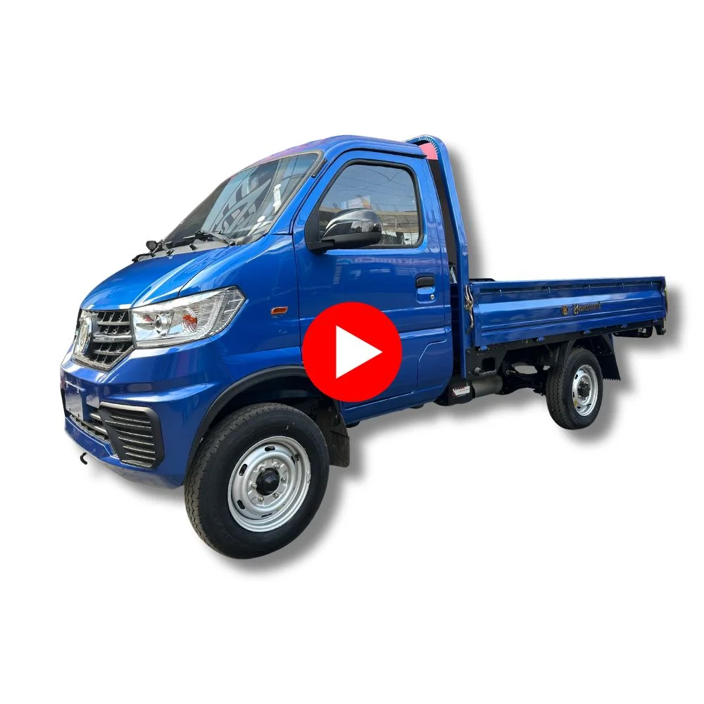 MINIATURA DE MINICAMION YANSUMI