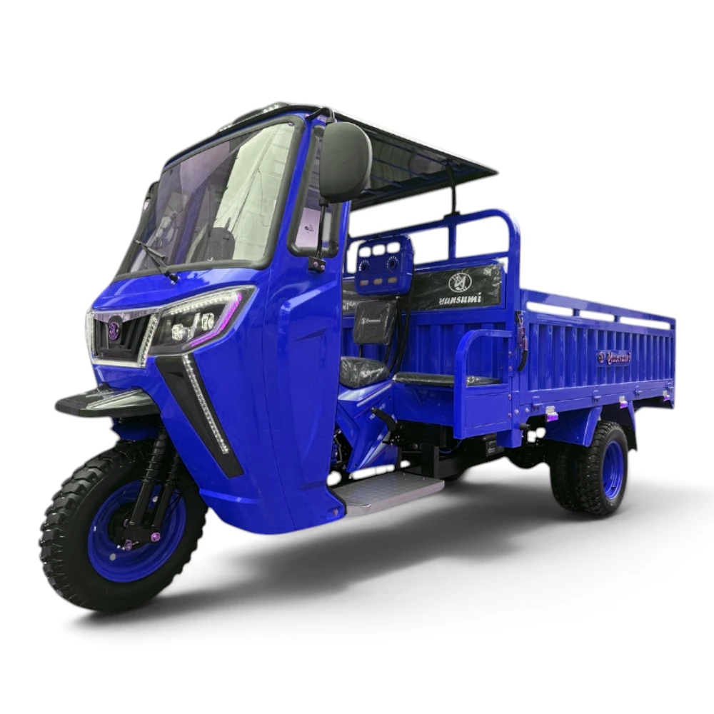 CARGUERO 300 DE LA MARCA YANSUMI MODELO GURU